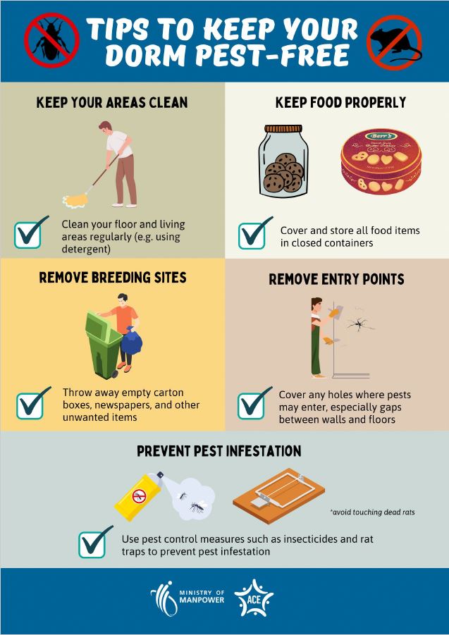 Thumbnail - Tips to keep your dorm pest free - 
