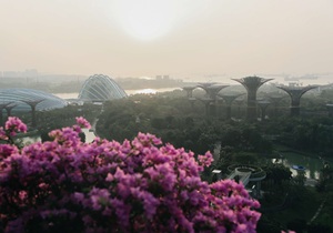 image of hazy gardens by the bay